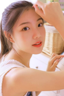 少帅电视连续剧免费看